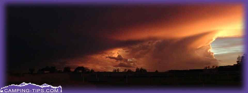 daytime entertainment image